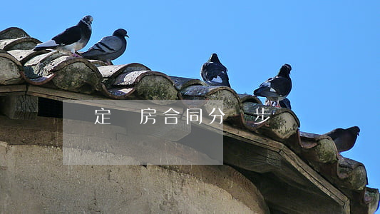 簽定購房合同分幾步
