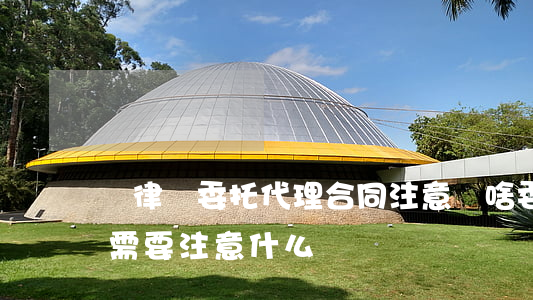 簽律師委托代理合同注意點啥(委托律師合同需要注意什么)