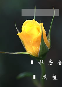 簽租房合同時，這6個內(nèi)容一定要寫清楚！