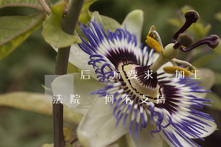簽約后對方要求漲加工費協商未果起訴違約法院為何不支持