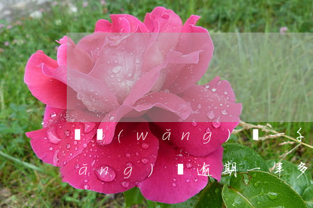 簽網(wǎng)貸一千多逾期嚴重(網(wǎng)貸逾期一年多了)