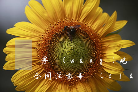 簽署網(wǎng)吧轉(zhuǎn)讓合同注意事項(xiàng)是什么
