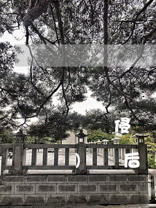 簽訂侵權(quán)賠償和解協(xié)議后還能到法院起訴嗎