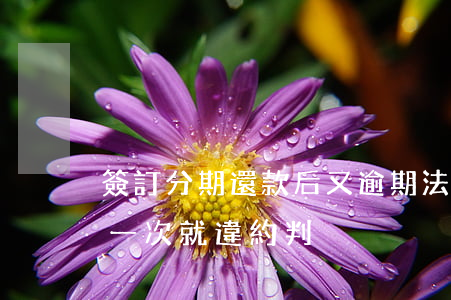 簽訂分期還款后又逾期法院判決(分期還款第一次就違約 判決)