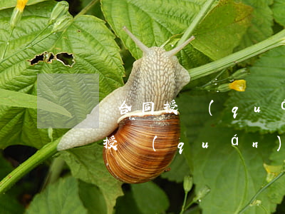 簽訂合同授權(quán)書格式是怎樣的簽授權(quán)書有哪些需要注意（授權(quán)委托書的份數(shù)）