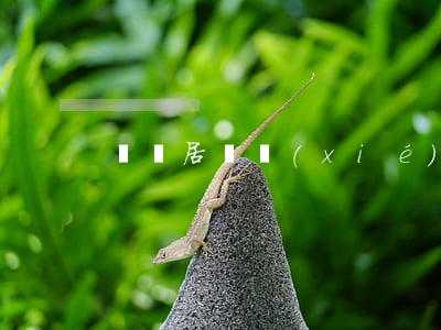 簽訂居間協(xié)議需要注意哪些問題
