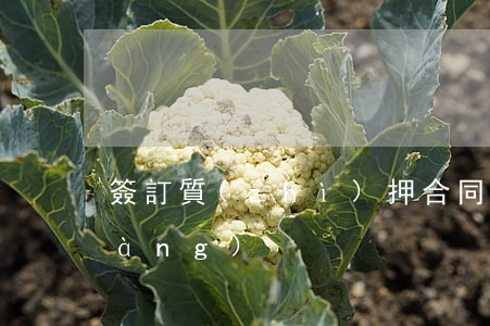 簽訂質(zhì)押合同的注意事項(xiàng)