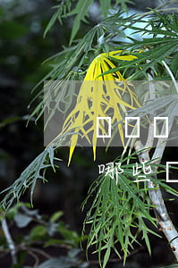 簽訂購房合同注意事項(xiàng)有有哪些（購房合同不成立的情形）