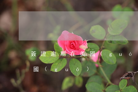 簽證逾期在美國(guó)-簽證逾期在美國(guó)
