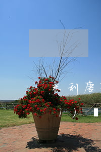 米利唐有逾期嗎(保監(jiān)會(huì)規(guī)定理賠時(shí)效)