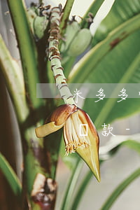 米多多快逾期了沒有客服聯(lián)系還款-米多多借款app服務(wù)電話