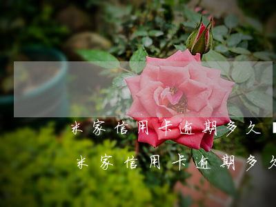米家信用卡逾期多久會被凍結(jié)-米家信用卡逾期多久會被凍結(jié)賬戶