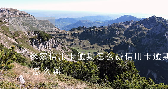 米家信用卡逾期怎么辦(信用卡逾期來家里了怎么辦)