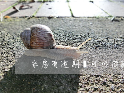 米房有逾期還可以借款嗎