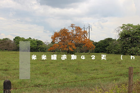 米米罐逾期42天會(huì)被起訴嗎