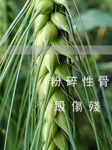 粉碎性骨折是幾級傷殘(肩膀粉碎性骨折是幾級傷殘)