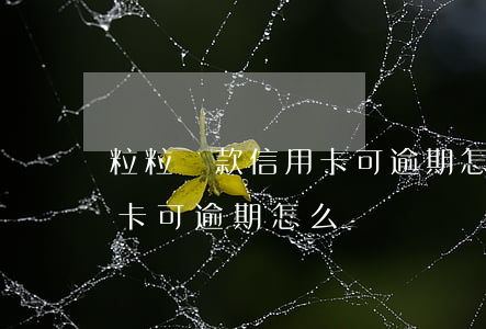 粒粒貨款信用卡可逾期怎么辦 粒粒貨款信用卡可逾期怎么辦