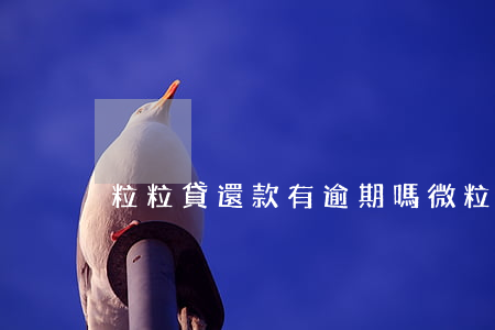 粒粒貸還款有逾期嗎(微粒貸還款怎樣算逾期)