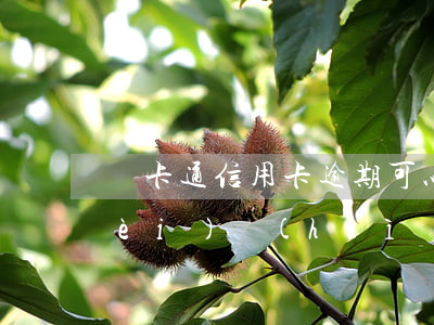 粵卡通信用卡逾期可以用嗎(粵通卡欠費(fèi)會(huì)影響征信嗎)
