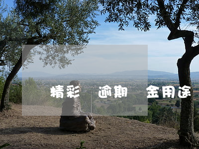 精彩貸逾期資金用途