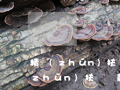 精準(zhǔn)扶貧貸款無力償還(精準(zhǔn)扶貧貸款無力償還子女受影響嗎)