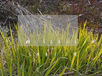 精準(zhǔn)扶貧貸款逾期了有利息沒(méi)有