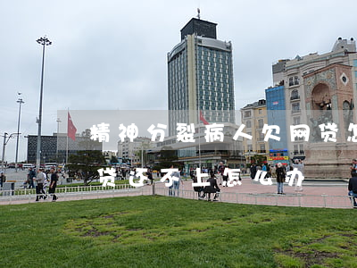 精神分裂病人欠网贷怎么办(精神病患者欠网贷还不上怎么办)