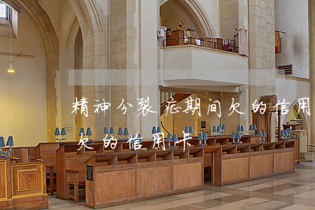精神分裂症期间欠的信用卡(精神分裂症期间欠的信用卡)