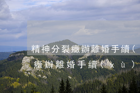精神分裂癥辦離婚手續(xù)嗎(精神分裂癥辦離婚手續(xù)嗎)