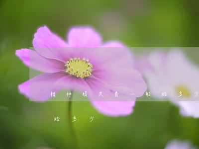 精神损失费一般赔多少(骨折精神损失费一般赔多少)