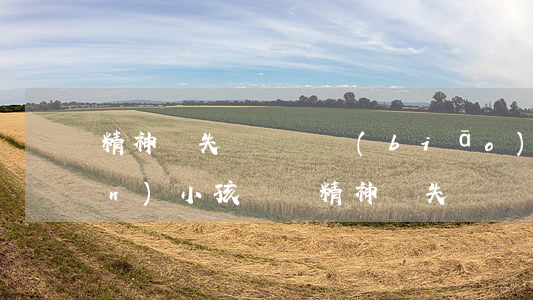 精神損失費賠償標(biāo)準(zhǔn)(小孩車禍精神損失費賠償標(biāo)準(zhǔn))