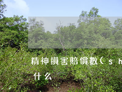精神損害賠償數(shù)額的評算原則是什么