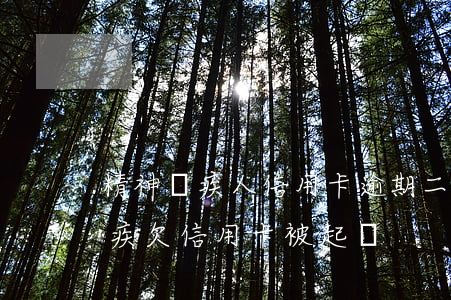精神殘疾人信用卡逾期(二級(jí)精神殘疾欠信用卡被起訴)