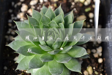 精神殘疾人信用卡逾期（精神病患者信用卡逾期）
