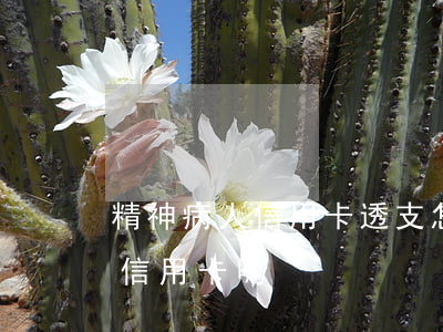 精神病人信用卡透支怎么辦(精神病可以申請信用卡嗎)
