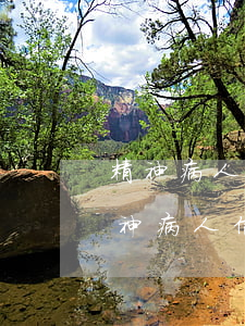 精神病人信用卡逾期可以協(xié)商(精神病人信用卡逾期可以協(xié)商嗎)
