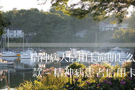 精神病人信用卡逾期怎么協(xié)商還款-精神病患者信用卡逾期怎么辦