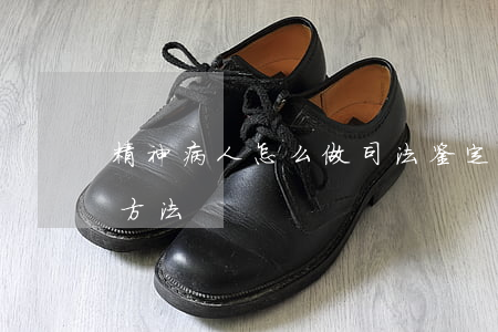 精神病人怎么做司法鉴定(司法鉴定精神病的方法)