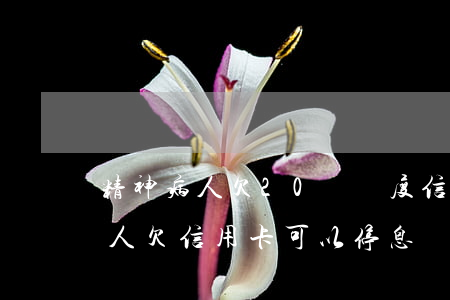 精神病人欠20萬額度信用卡銷卡-精神病人欠信用卡可以停息嗎