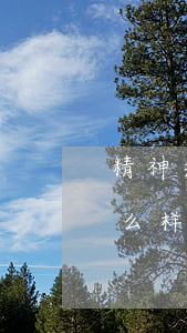 精神病人欠网贷贷(精神病欠了网贷不还会怎么样)