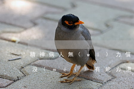 精神病人無(wú)力償還嗎(精神病人欠款沒(méi)有能力還怎么解決問(wèn)題)