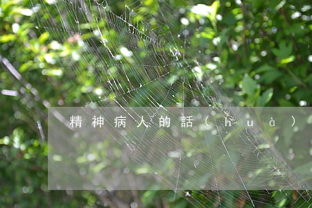 精神病人的話(huà)可以被法院采納嗎