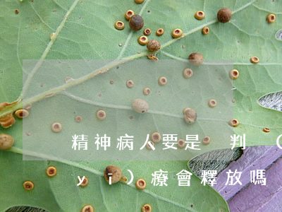 精神病人要是沒判強(qiáng)制醫(yī)療會釋放嗎
