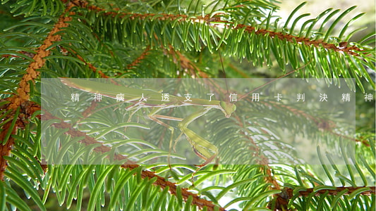 精神病人透支了信用卡判決(精神病起訴)