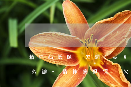 精神病低保戶欠網(wǎng)貸還不了怎么辦-精神病低保戶欠網(wǎng)貸還不了怎么辦呢