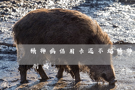 精神病信用卡还不起(精神病不还信用卡会判刑吗)