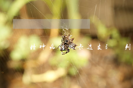 精神病信用卡透支5萬判刑