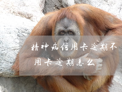 精神病信用卡逾期不還的后果(精神病患者信用卡逾期怎么辦)