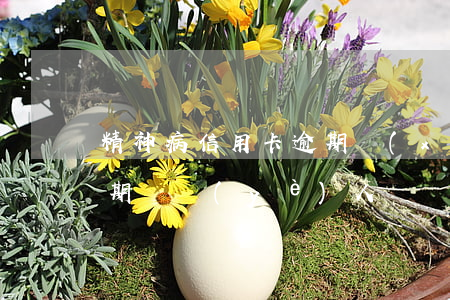 精神病信用卡逾期協(xié)商（信用卡逾期專業(yè)人員協(xié)商）