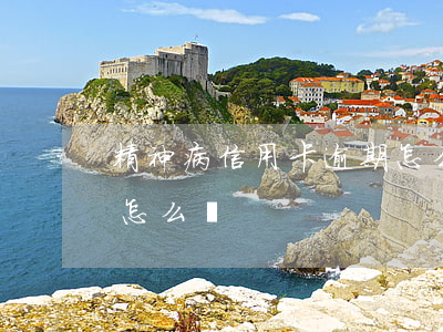 精神病信用卡逾期怎么辦(精神病信用卡逾期怎么辦)